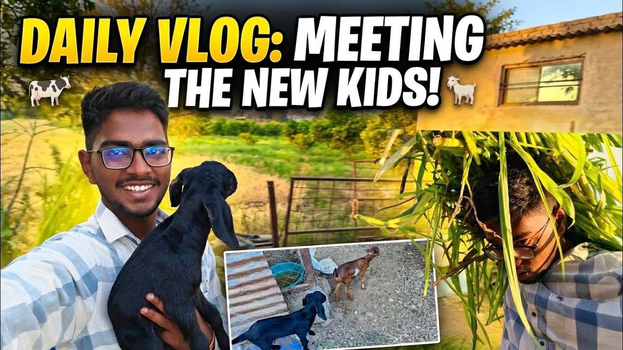 आमची छोटी पाहुणी!(शेळ्यांच्या पिलांसोबत एक दिवस)(Our little guests! A day withgoatkids)#ShamZinjurde