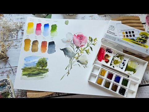 Winsor & Newton Cotman vs Van Gogh Student Grade Watercolor Review 