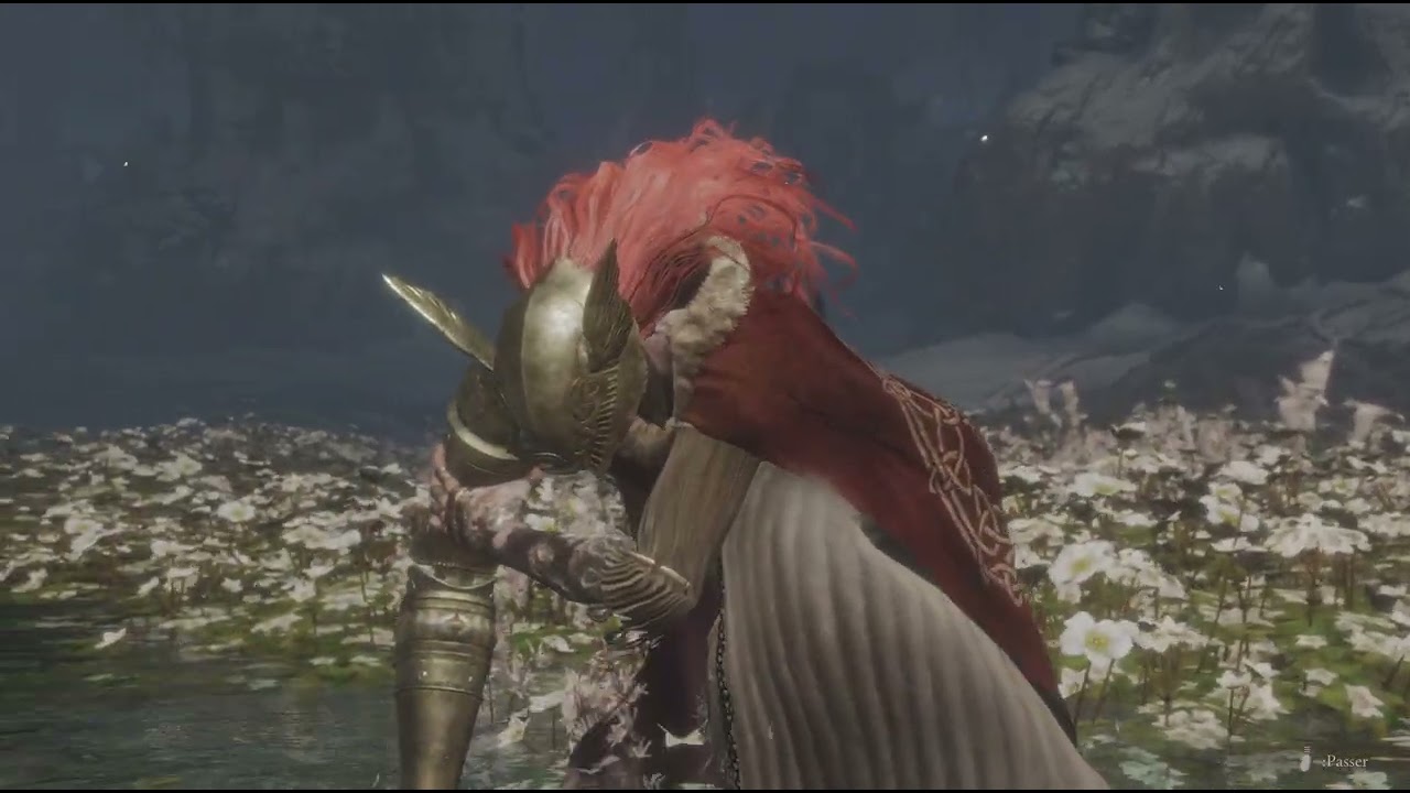 ELDEN RING NG + 4 Malenia no hit