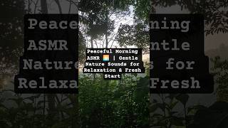 Peaceful Morning ASMR 🌅 | Gentle Nature Sounds for Relaxation &amp; Fresh Start