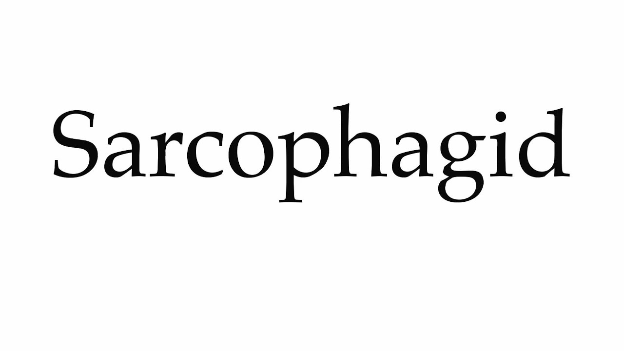 How to Pronounce Sarcophagid