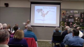 Stokes Lecture 2016