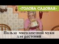 Голова садовая - Польза  мясо-костной муки для растений