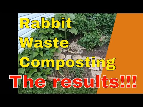 Video: Kompostering af kaningødning: Brug af kaningødning i haven
