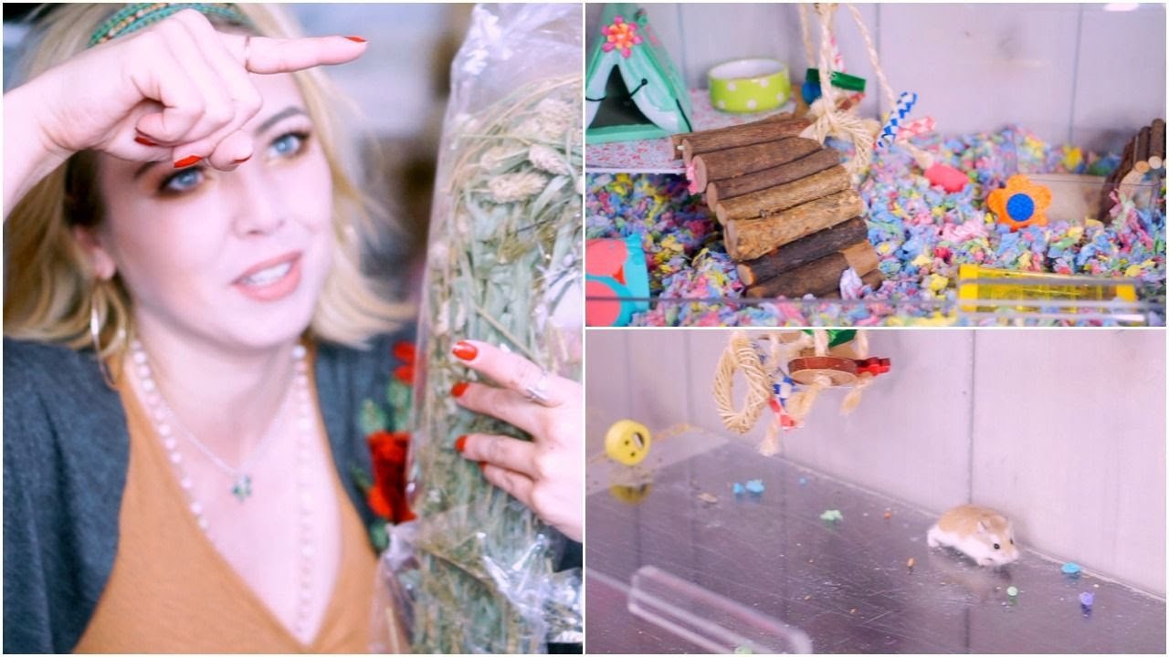 Hamster Haul & Roborovski Hamster Cage Cleaning Lorex Plastics