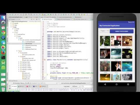 Java 1 Week 4 Connected Application