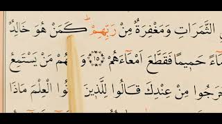 202. Kur'an-ı Kerim'i yeni öğrenenler / Sayfa506 - 509 / Muhammed Suresi