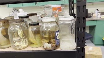 University of Guam Marine Lab