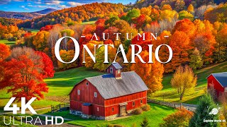 Ontario in Autumn 4K UHD | Fly Over Vibrant Fall Foliage, Scenic Lakes, Rivers, and Majestic Forests