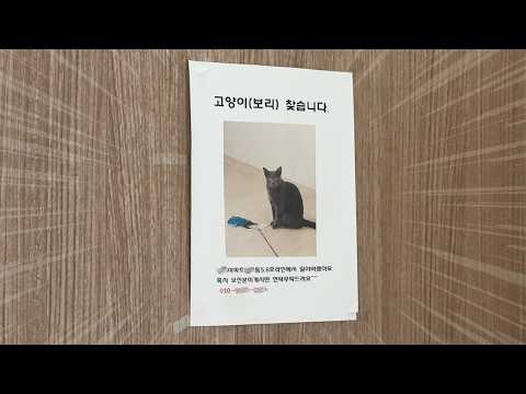 고양이 잃어버린 아빠 근황…