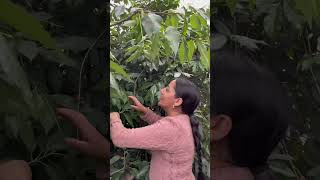 Solo me Dio Poquito Pero lo Bueno Que Dio Café ☺️