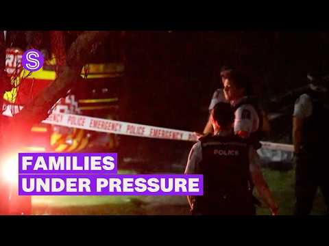 Criminologist believes spate of homicides could be linked to cost of living crisis | Stuff.co.nz