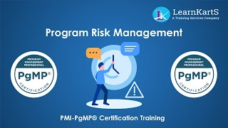 Program Risk Management