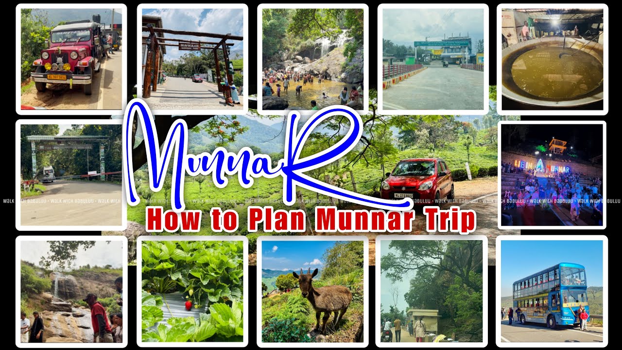 മൂന്നാർ ട്രിപ്പ് പ്ലാൻ ചെയ്യുന്നുണ്ടോ? How to Plan a Munnar Trip അറിയേണ്ടതെല്ലാം? കാണേണ്ടത് എന്ത്
