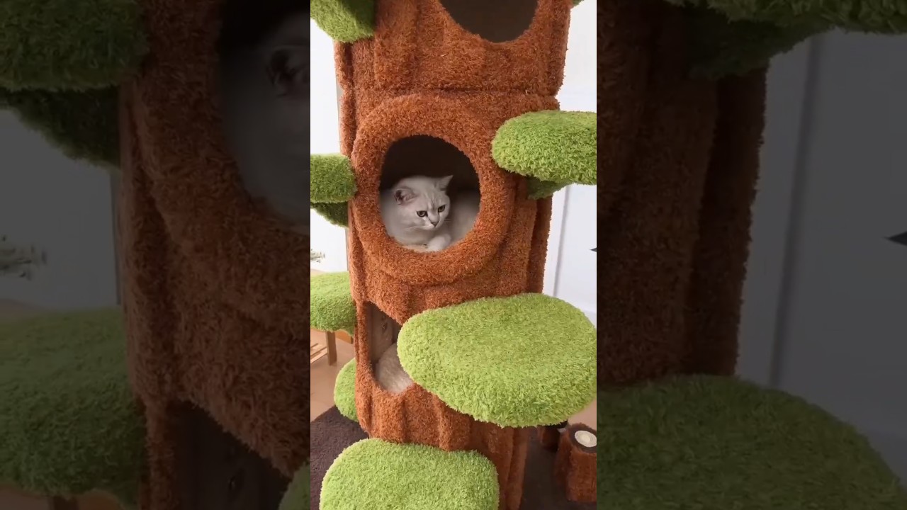 🐱 Your Cats Will LOVE This 90.5-inch Luxury Cat Tree Tower! 🏡✨ | Shop Wise Picks