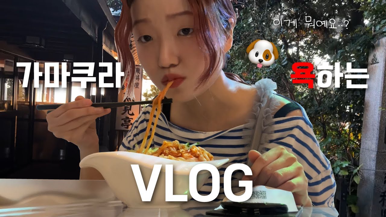 [도쿄 VLOG] 가마쿠라 🐶욕하는 브이로그 | 나 홀로 동네 여름 축제부터 에노시마, 주말 출근까지