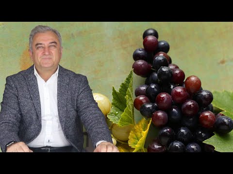 Video: Suda çabuk çözünen nedir?