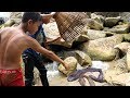How to Catch Big Fish With Ang Rot - Amazing Smart Boys Fishing Using Bamboo In Cambodia - Fish Trap