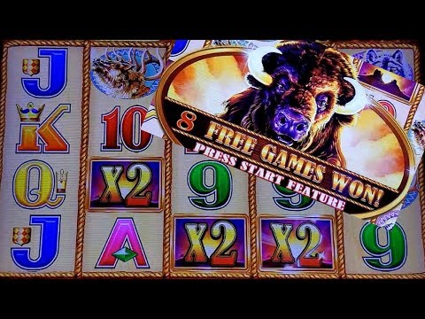 Buffalo Gold Slot Machine Bonus ☆BIG WIN☆ w/ x2x2x2 MULTIPLIERS  | Slot Machine Pokies w/NG Slot