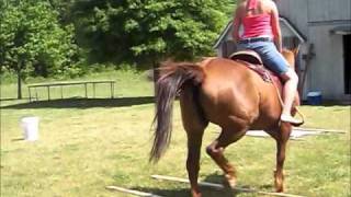 Practicing Training for the ERSC Trail Class