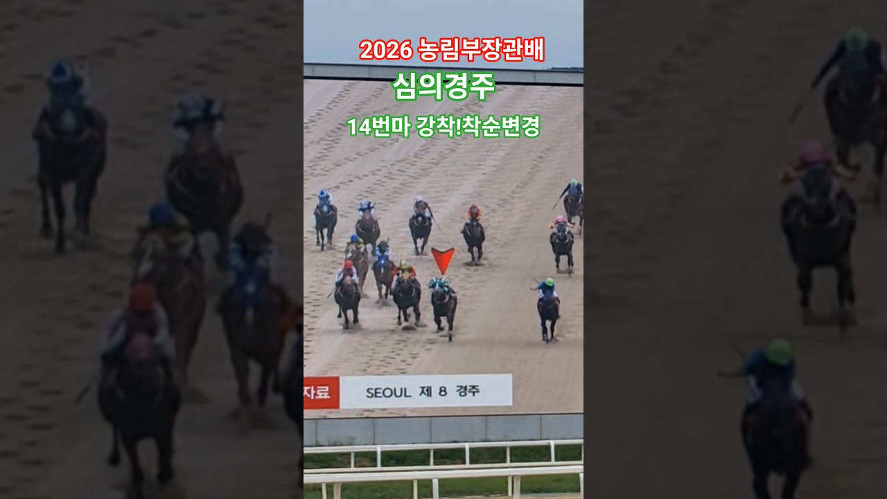 심의경주 엇갈린희비 #경마 #말 #달려라말 #대상경주 #shorts