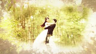 Wedding Slideshow | Elegant After Effects Template for Romantic Wedding Highlights & Love Stories screenshot 3