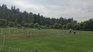 Derby Jumpers August 2025