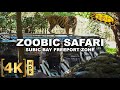 Full tour at zoobic safari  the only tiger safari in the philippines  subic bay freeport zone