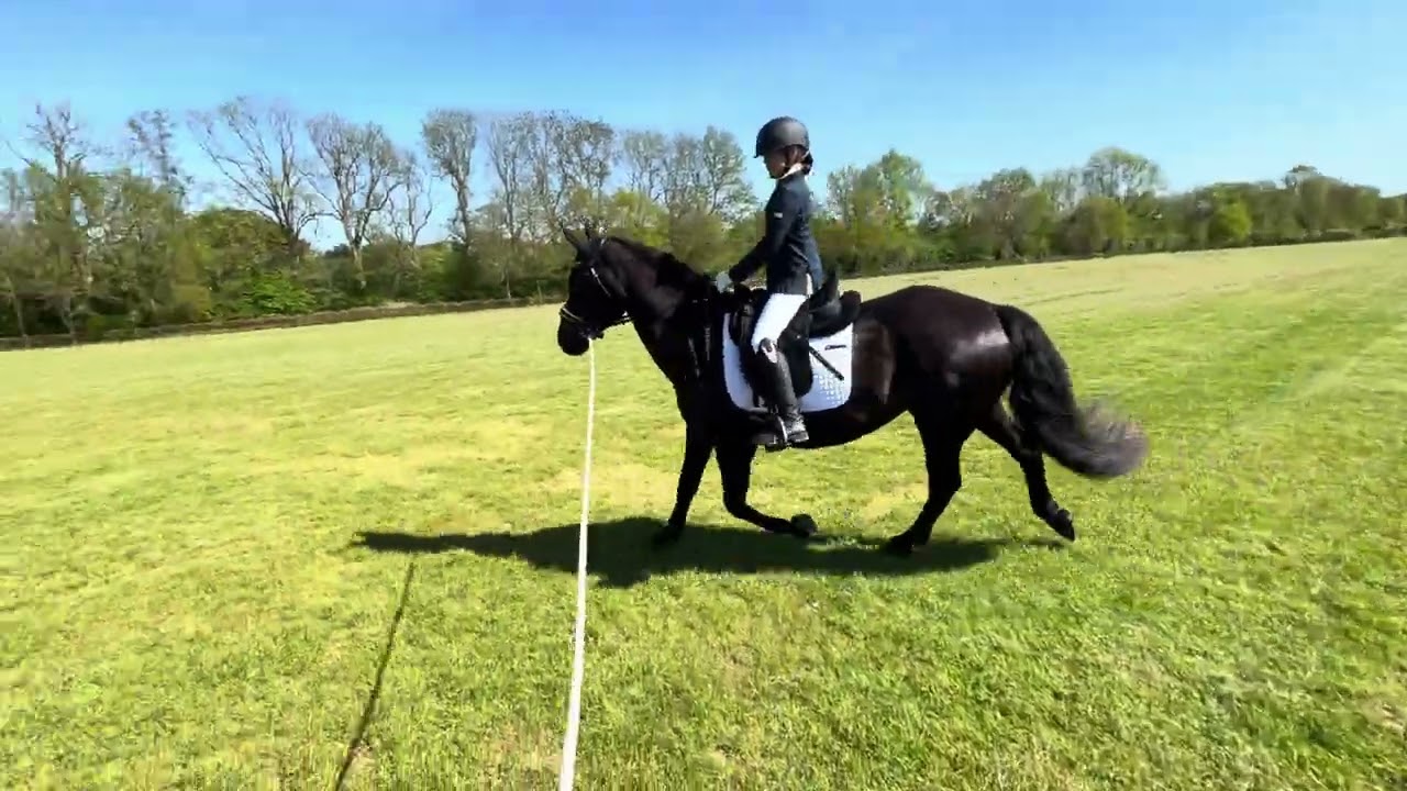 Heleen bixie dag Ermelo met Zummer 