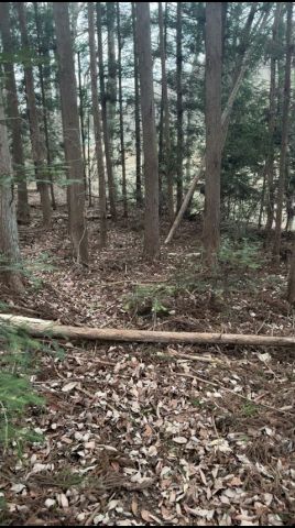 20260303 #nature