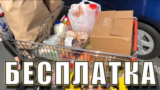 США БЕСПЛАТНАЯ ЕДА в Америке #6