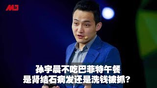 肾结石病发还是洗钱被抓? 孙宇晨放弃巴菲特午餐 | 明镜人物 (20190724)