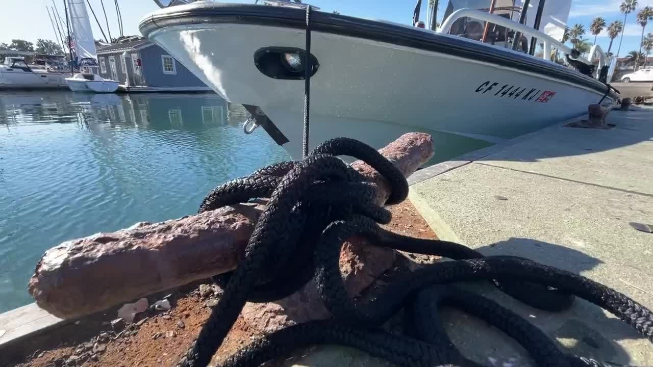 Fish Reef Project seeing kelp growth on "sea caves" six months after installation