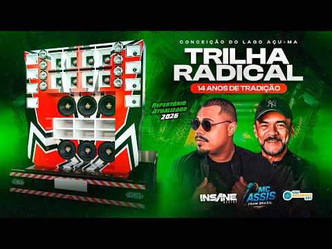 CD TRILHA RADICAL 14 ANOS - INSANE DJ E MC ASSIS AO VIVO - YouTube