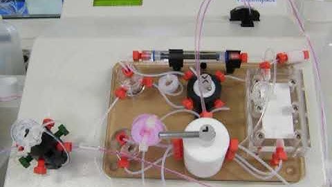 FIA - Flow injektion analysis
