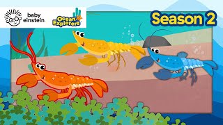 Let s Explore Pairs with Lobsters Ocean Explorers Season 2 Baby Einstein Education Show