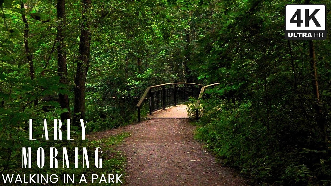 Morning Ambience – Walking in a Park at Sunrise | 4K Nature Sounds
