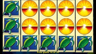 강원랜드 슬롯 돌고래 보너스게임 연속으로 casino slot dolphin treasure free game retrriggers screenshot 4
