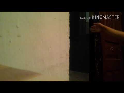 ფოკუსი (გავქრი)