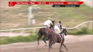 Vidéo de la course PMU PRIX VLADY