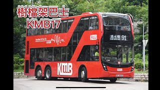 Tiny 微影  KMB17 九巴 ADL Enviro500 Facelift11.3米 (91) [專門店版]｜ 雷神號 Leonardo Channel