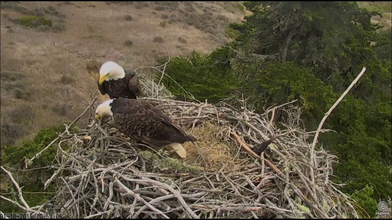 SAUCES CANYON,ISLANDS YouTube