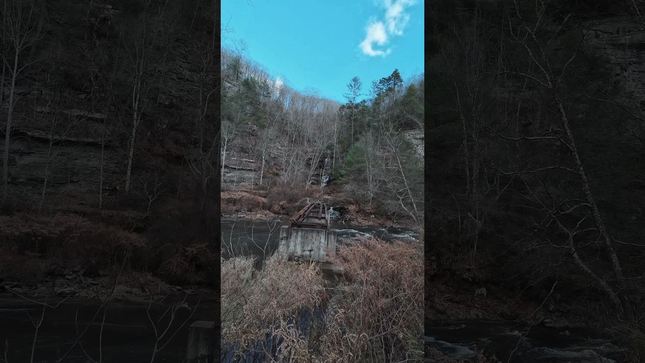 Exploring Piney Creek WV looking for trout troutfishing 