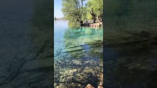 Posta fibreno lake #tour #view #animals