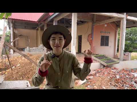 ผลสลากกินแบ่งรัฐบาล วันที่ 1 พย. 2567