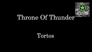 WoW Raid Briefings - Tortos