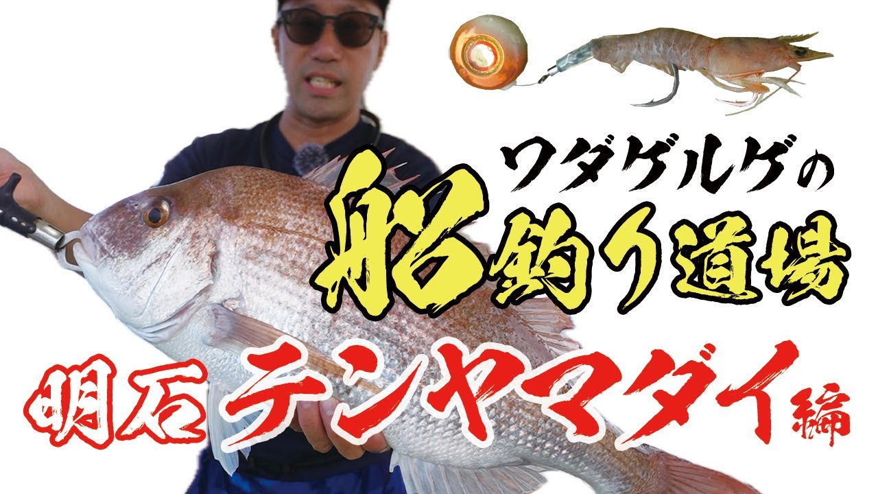 【テンヤマダイ】明石で大流行中のベイトテンヤマダイ！利点は？スピニングとの違いは？和田さんが徹底解説！【船釣り道場】