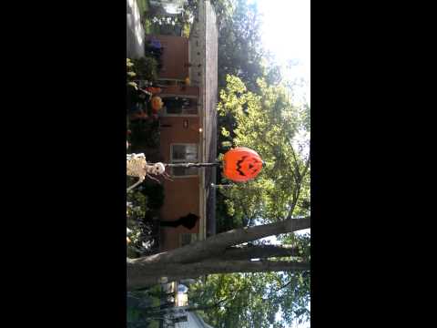 Halloween Yard Display 2015
