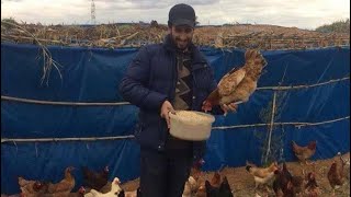 هنا فين كاين الربح نوض تخدم