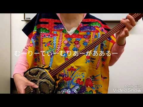 おうちで三線（初心者）ムリカ六星（前半）